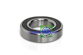 180107 Ю (SS6007 2RS) MTM