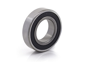 180106 (6006 2RS) DPI