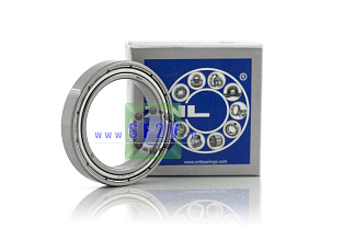 1000806 ZZ (61806 ZZ) ZNL