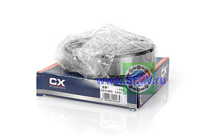 180310 (6310 2RS) CX