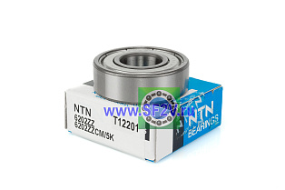 6202 ZZCM/5K (T) NTN