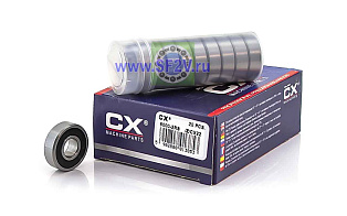 180100 (6000 2RS) CX